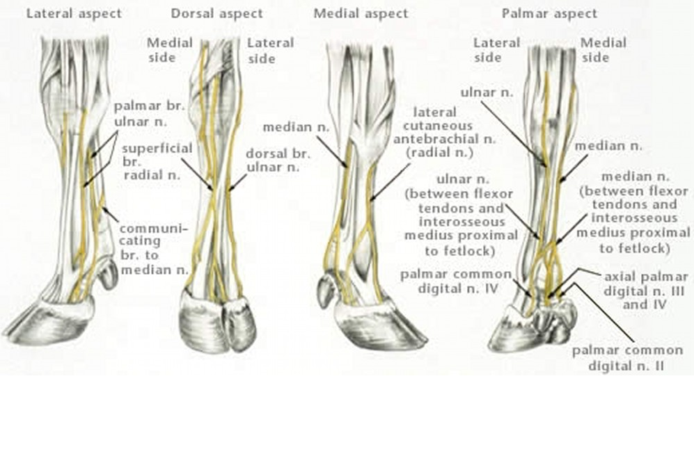 IHMC Public Cmaps (3)